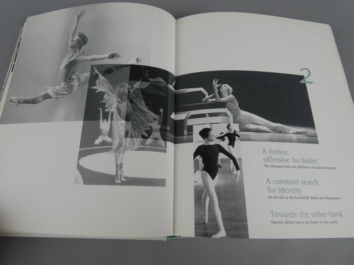 Boek Dance in Flanders - foto 8