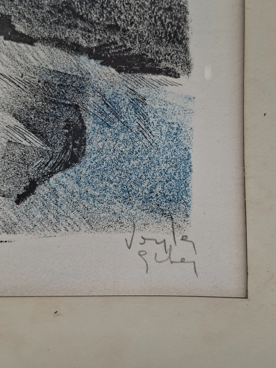 Expressief Gekleurd Portret – Originele Gelimiteerde Lithografie (HC 226/380) - foto 2