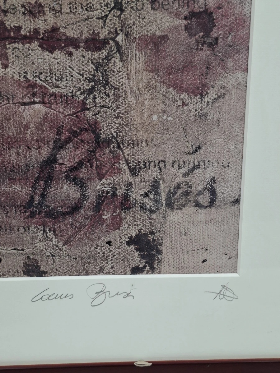 Gelimiteerd & Gesigneerd Kunstwerk "Coeurs Brisés" – Natacha Pirnay (Nr. 113/150) - foto 3