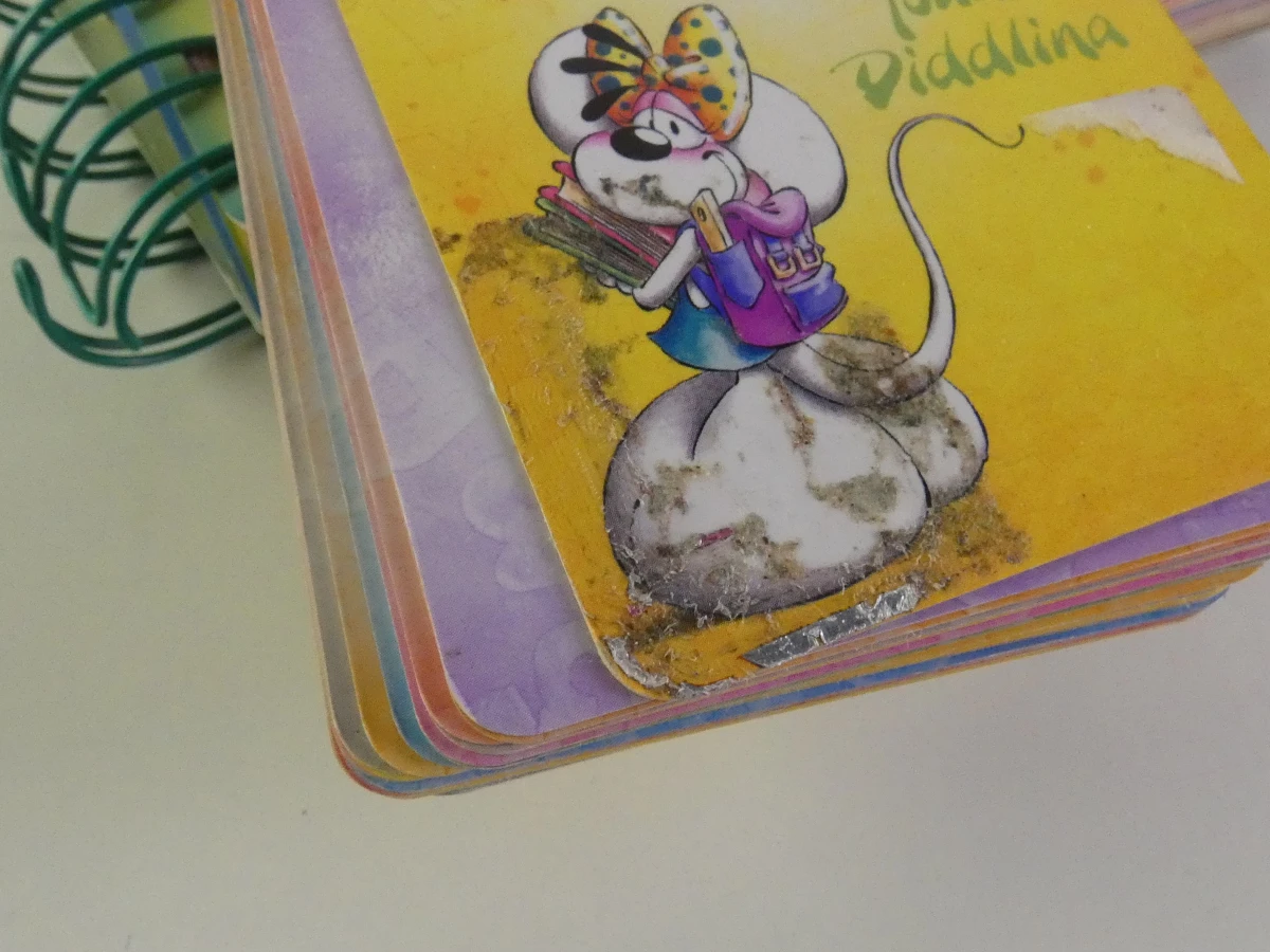 Diddl & Diddlina verzameling – 4 knuffels, quizboekjes en kleurrijke opbergmap - foto 10