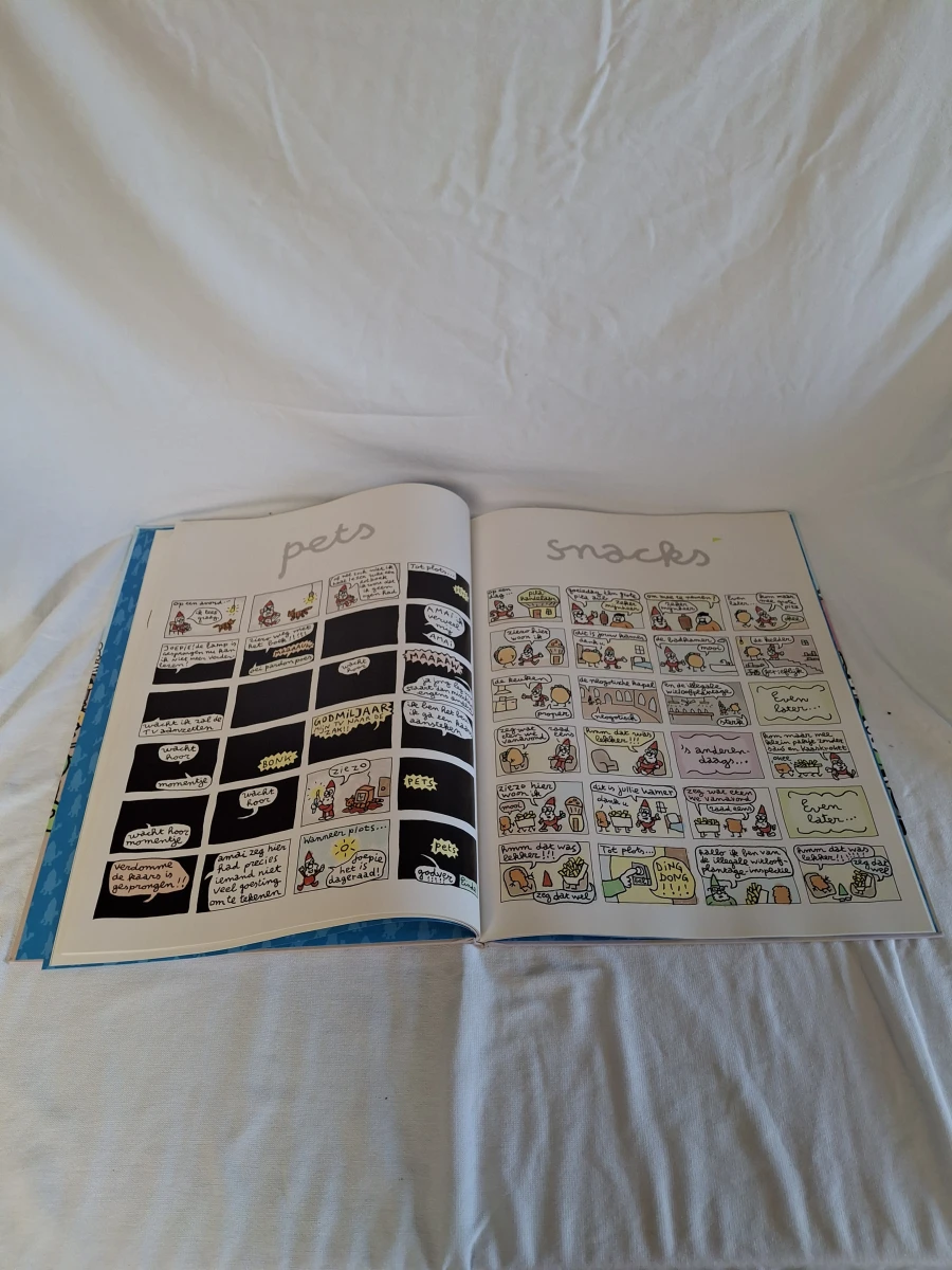 Het Grote Kabouter Wesley Boek - foto 5