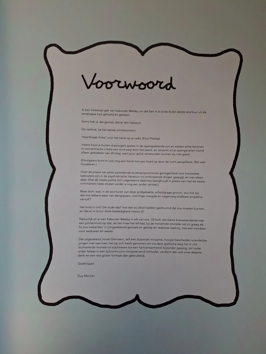 Het Grote Kabouter Wesley Boek - foto 3