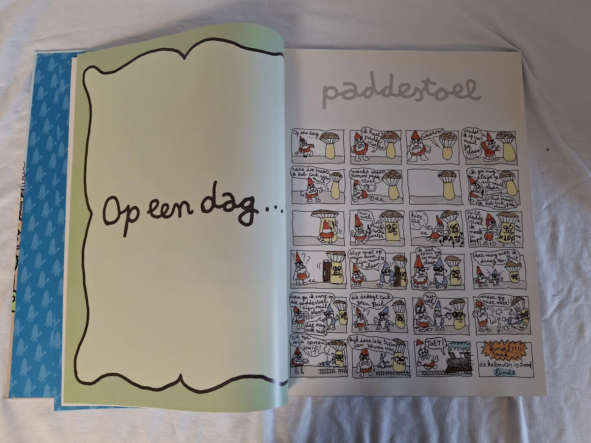Het Grote Kabouter Wesley Boek - foto 4