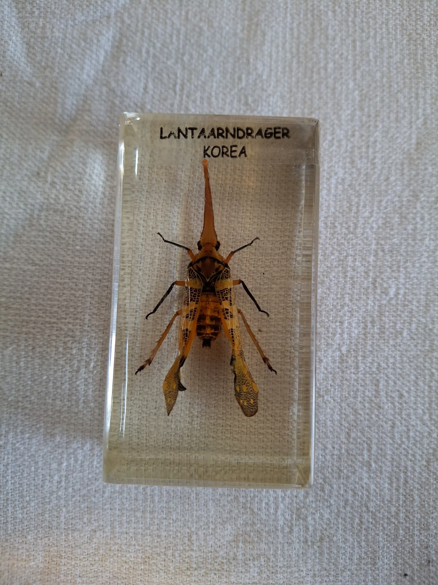 Insecten- en mineralencollectie - foto 7