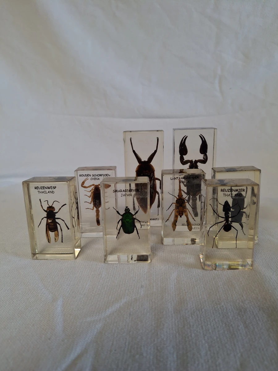 Insecten- en mineralencollectie - foto 2