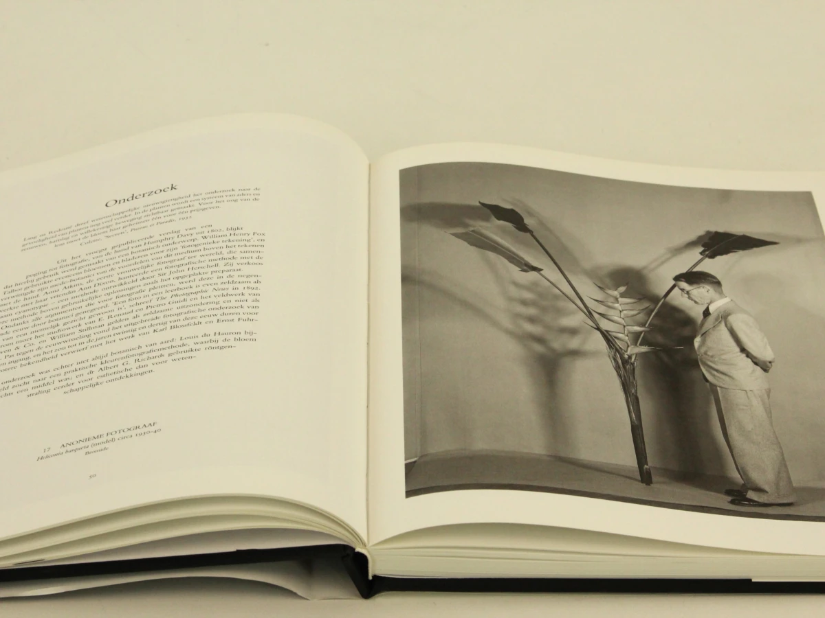 Flora Photographica Bloemen in de fotografie van 1835 tot Heden- Wiliam Erwing SDU uitgeverij koninginnengracht/uitgeverij Focus 's-Gravenhage/ Amsterdam 1991 - foto 5