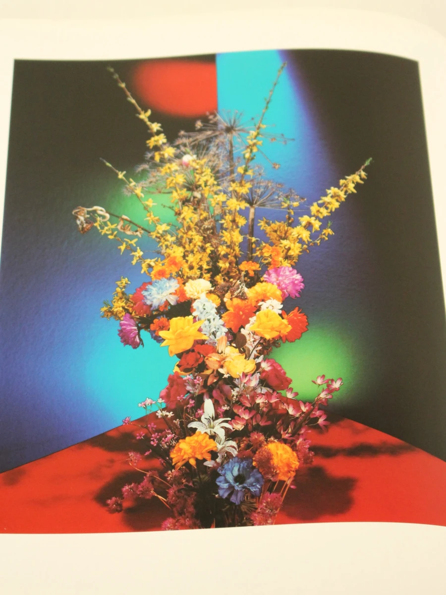 Flora Photographica Bloemen in de fotografie van 1835 tot Heden- Wiliam Erwing SDU uitgeverij koninginnengracht/uitgeverij Focus 's-Gravenhage/ Amsterdam 1991 - foto 10