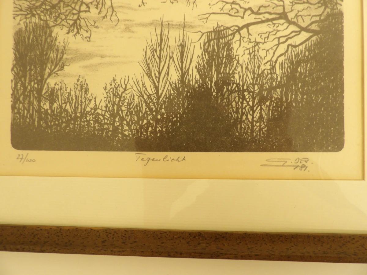 2 lithografieën van Guy Desarzens - foto 7
