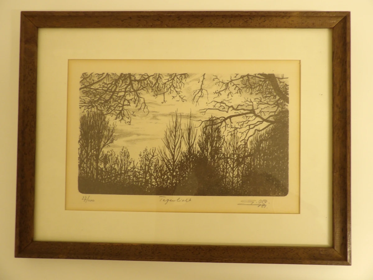 2 lithografieën van Guy Desarzens - foto 6