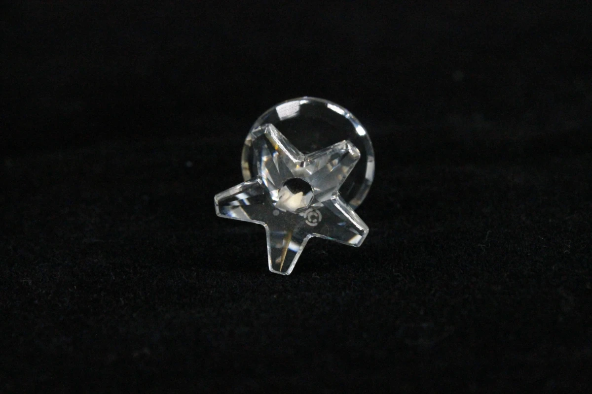 Swarovski Kristallen Instrumenten - foto 3