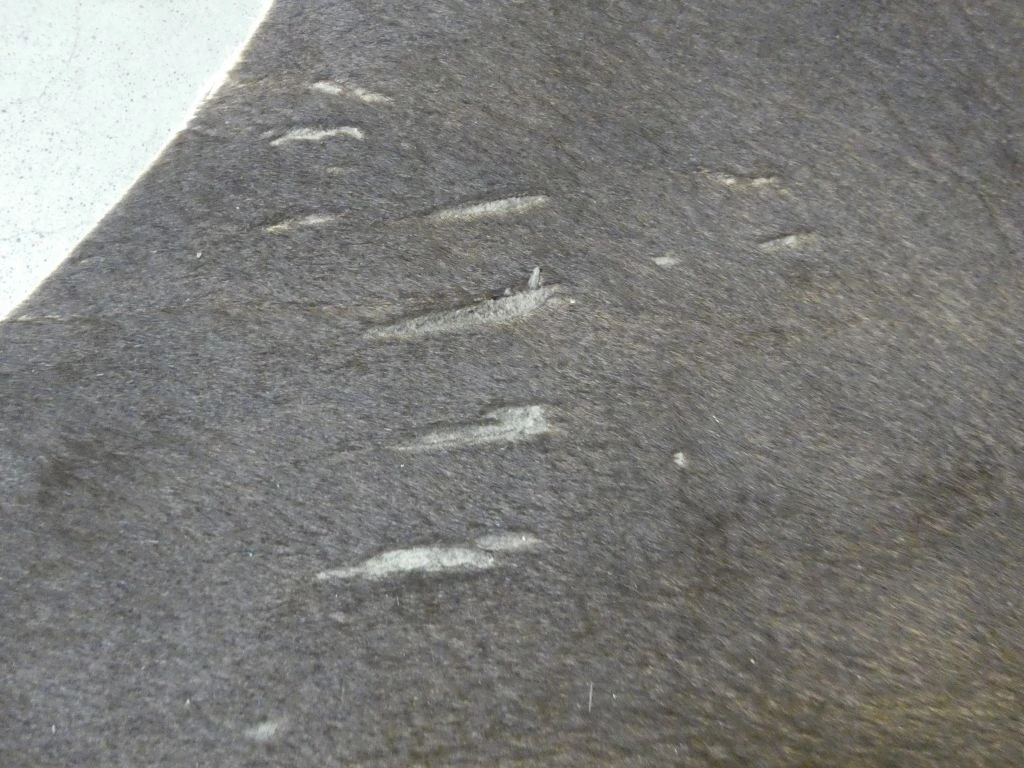 Bruin koeienhuid vloerkleed - foto 7
