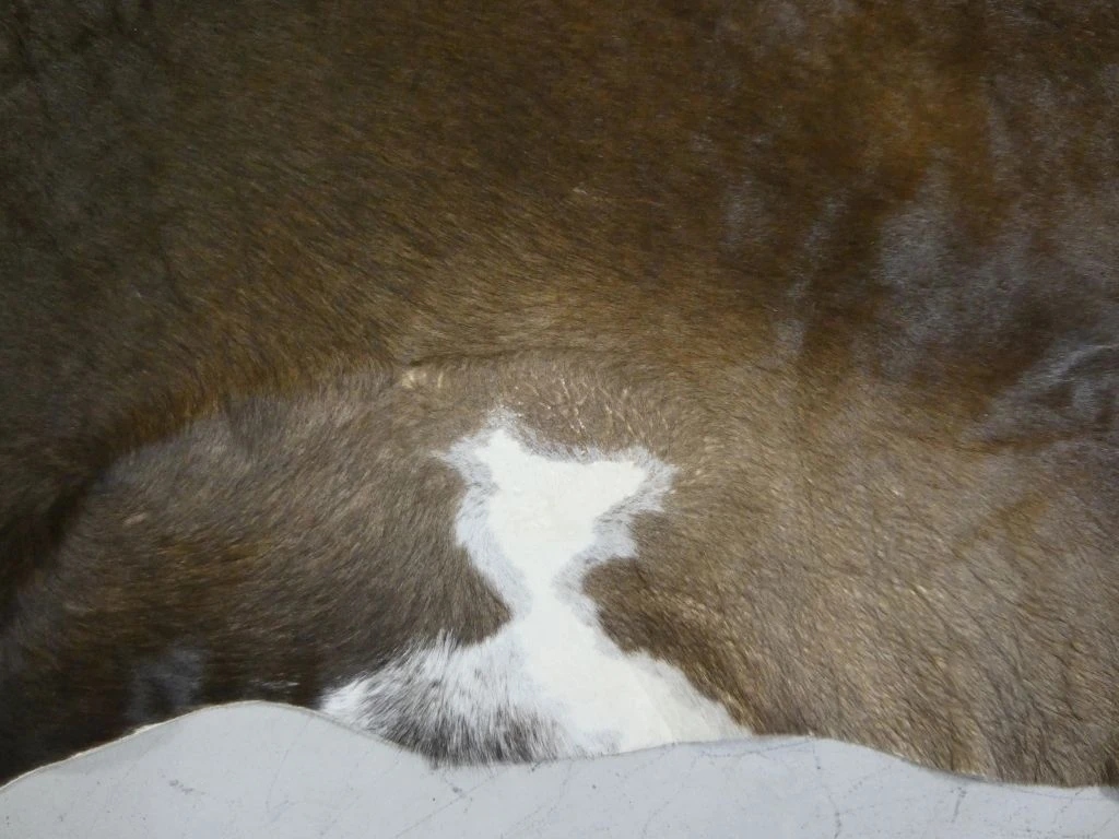 Bruin koeienhuid vloerkleed - foto 3