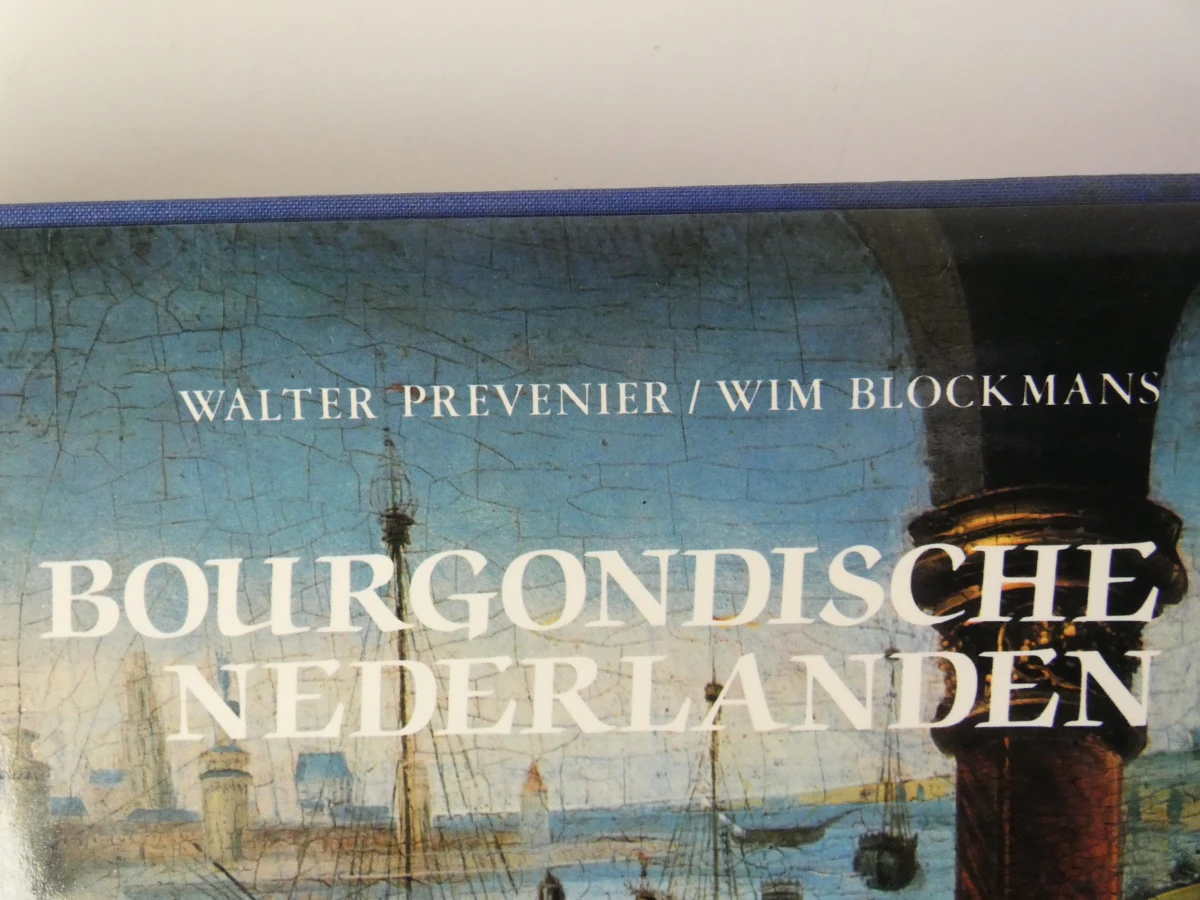 De Bourgondische Nederlanden - Hardcover boek over geschiedenis en kunst - foto 3
