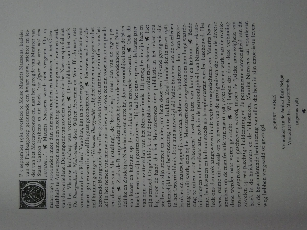 De Bourgondische Nederlanden - Hardcover boek over geschiedenis en kunst - foto 9