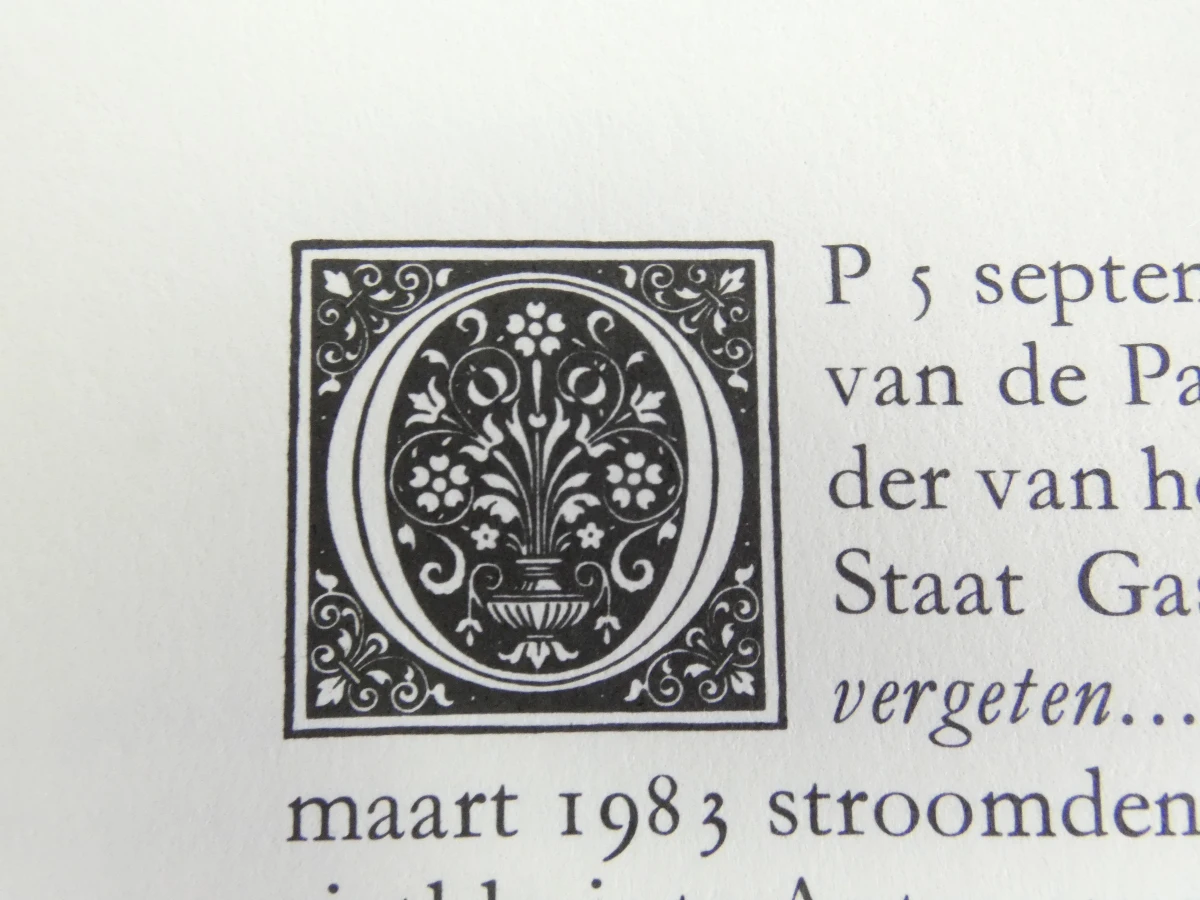 De Bourgondische Nederlanden - Hardcover boek over geschiedenis en kunst - foto 10