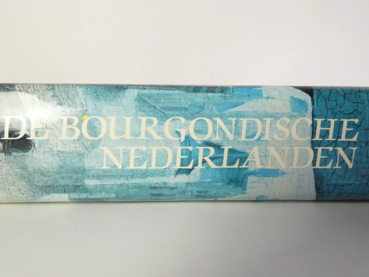 De Bourgondische Nederlanden - Hardcover boek over geschiedenis en kunst - foto 18