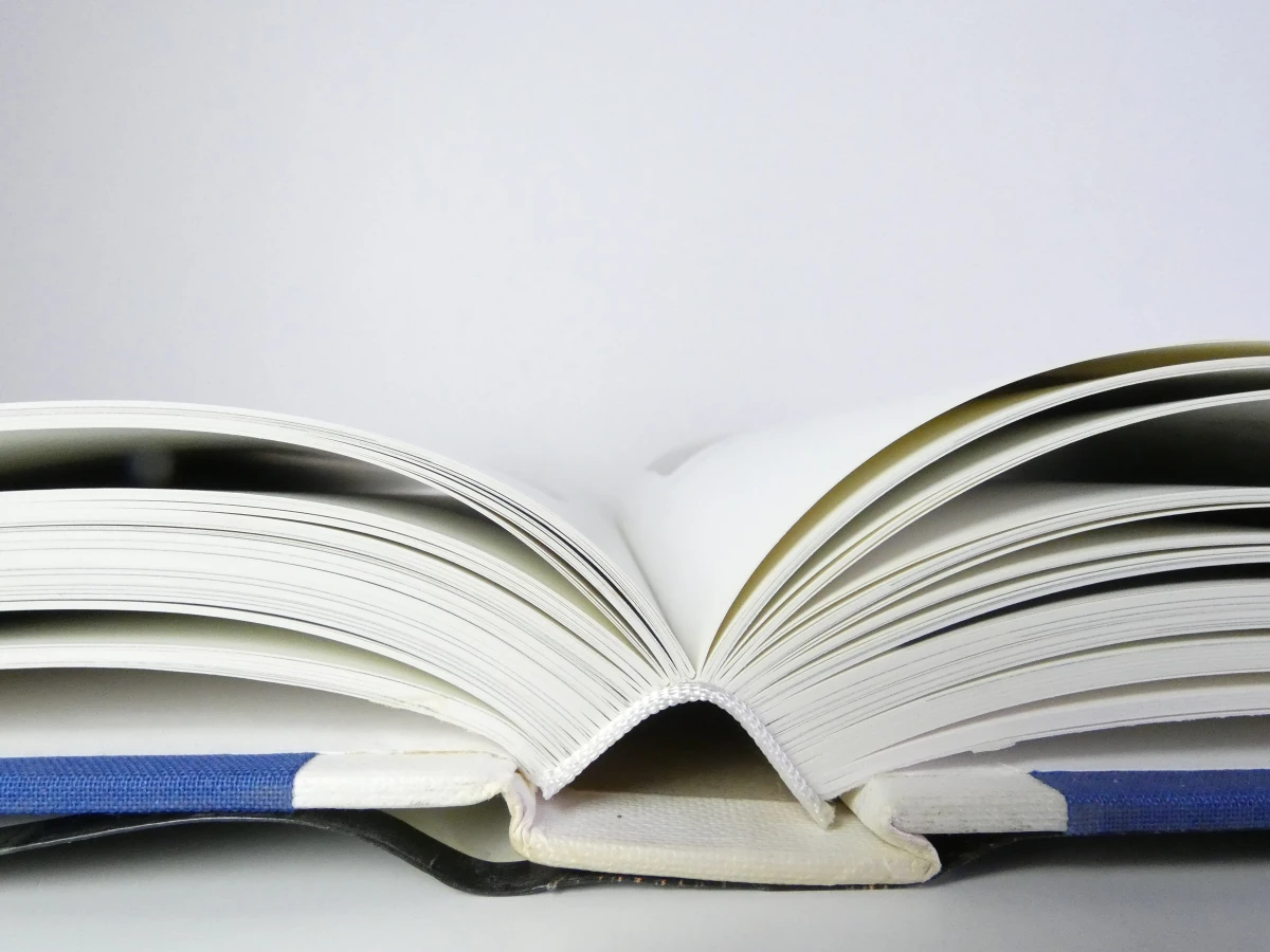 De Bourgondische Nederlanden - Hardcover boek over geschiedenis en kunst - foto 20