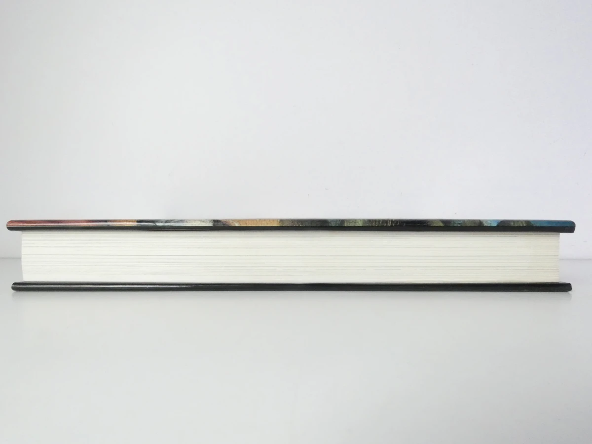 De Bourgondische Nederlanden - Hardcover boek over geschiedenis en kunst - foto 23