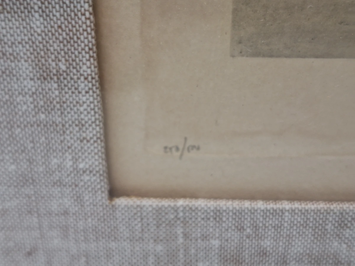 Wilde eenden boven het water - gesigneerde kleurenprent - Léon Danchin - foto 7