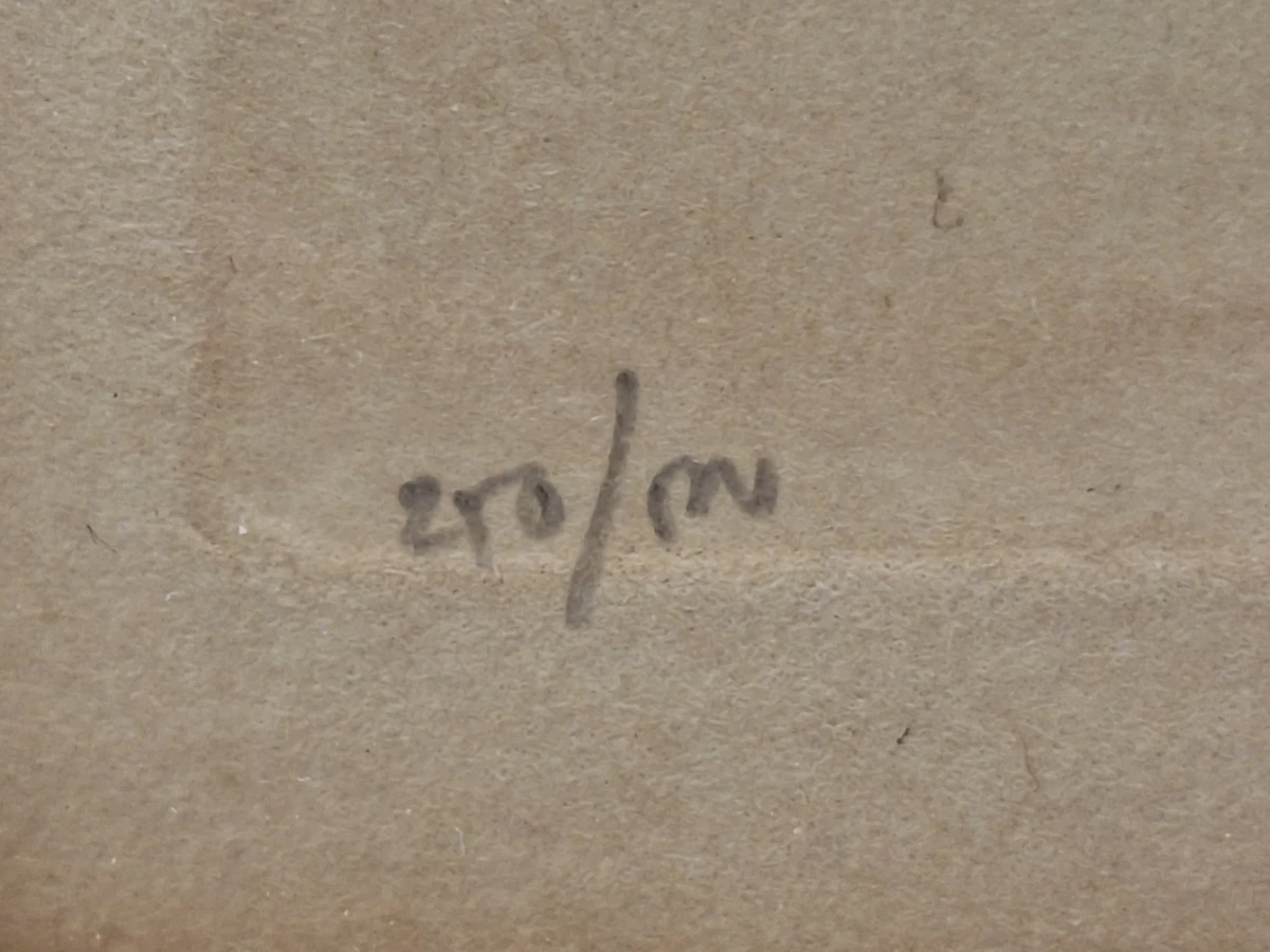 Wilde eenden boven het water - gesigneerde kleurenprent - Léon Danchin - foto 8