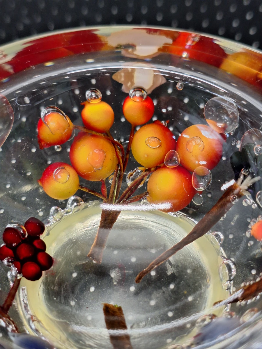 Set van vier siervoorwerpen van lucite met botanische en maritieme insluitsels - Mid-Century Modern - foto 7