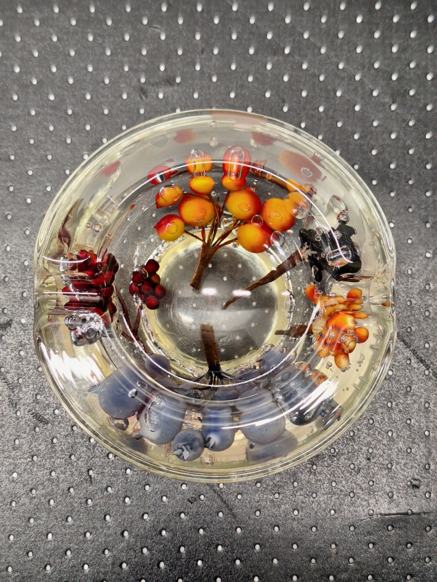 Set van vier siervoorwerpen van lucite met botanische en maritieme insluitsels - Mid-Century Modern - foto 4