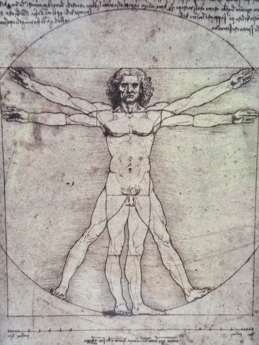 IKEA ÖLUNDA - Leonardo da Vinci - wanddecoratie met vijf studies in 3D-lijst - foto 6