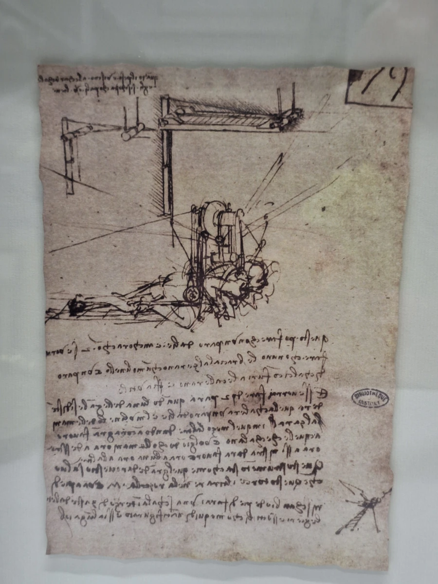 IKEA ÖLUNDA - Leonardo da Vinci - wanddecoratie met vijf studies in 3D-lijst - foto 4