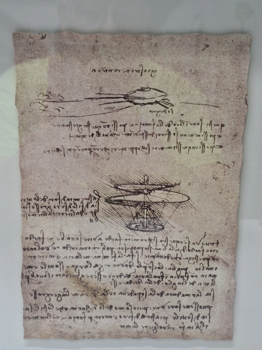 IKEA ÖLUNDA - Leonardo da Vinci - wanddecoratie met vijf studies in 3D-lijst - foto 1