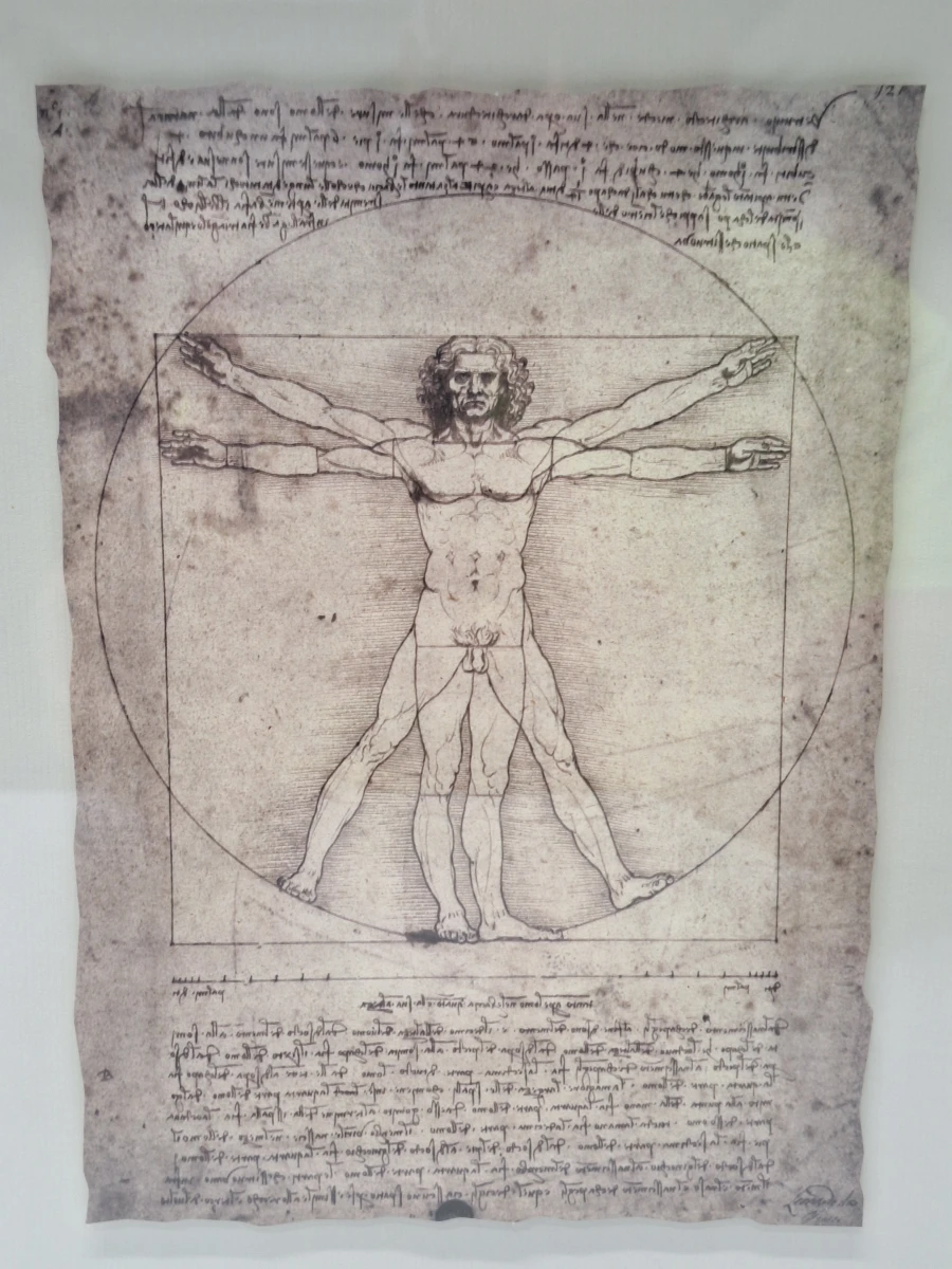 IKEA ÖLUNDA - Leonardo da Vinci - wanddecoratie met vijf studies in 3D-lijst - foto 2