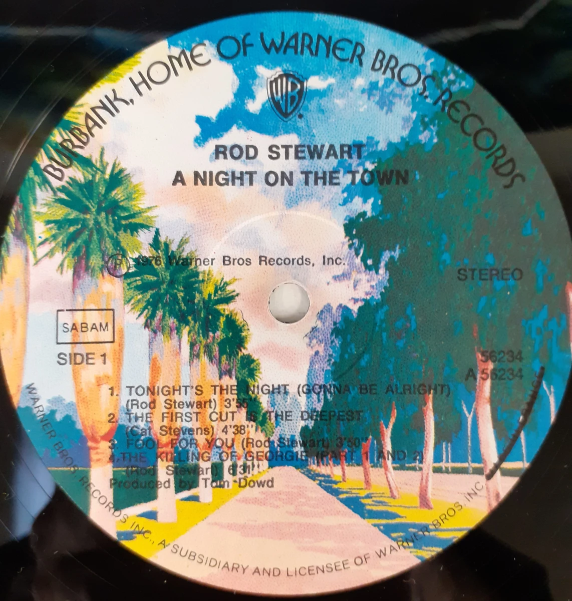 Vinyl: Lot van 4 Rod Stewart albums - foto 13