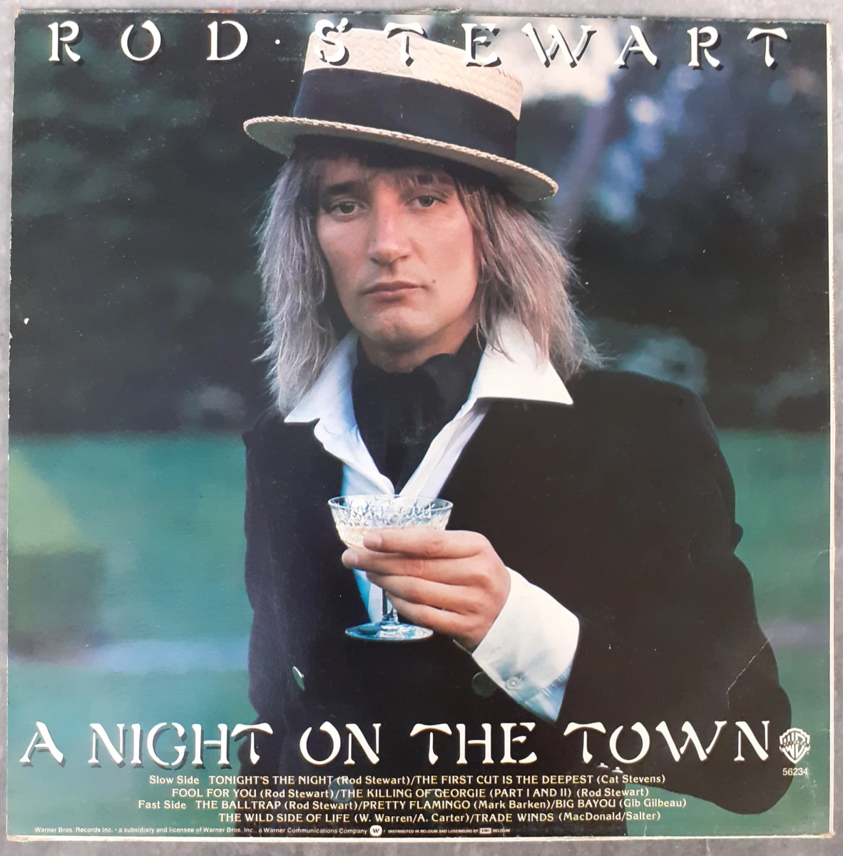 Vinyl: Lot van 4 Rod Stewart albums - foto 12