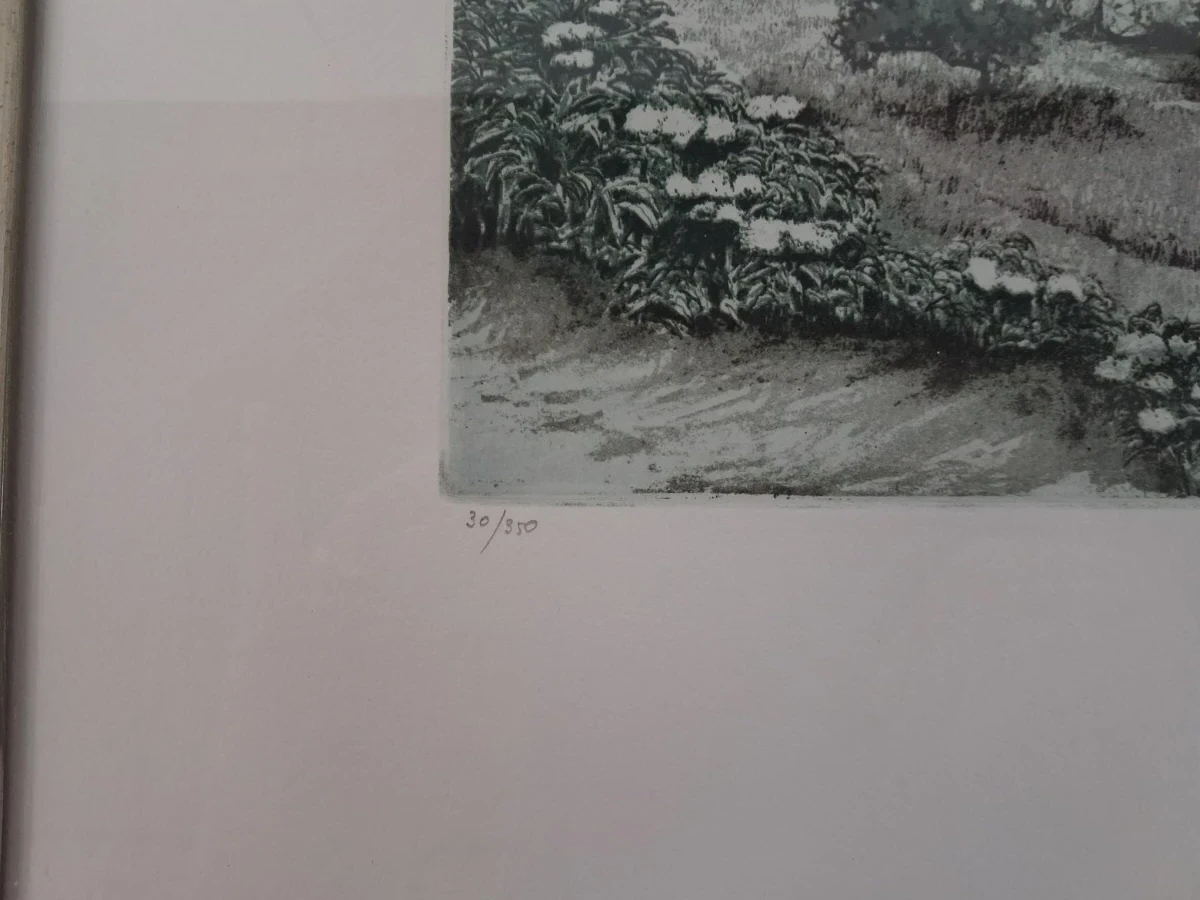 Atmosferisch landschapsets door Frans  Hebbelinck, 30 /350 - foto 3