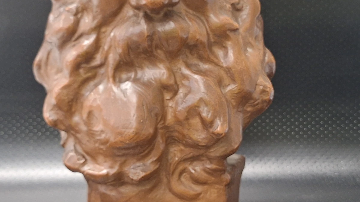 Terracotta buste van man met baard door Victor de Haen - foto 3