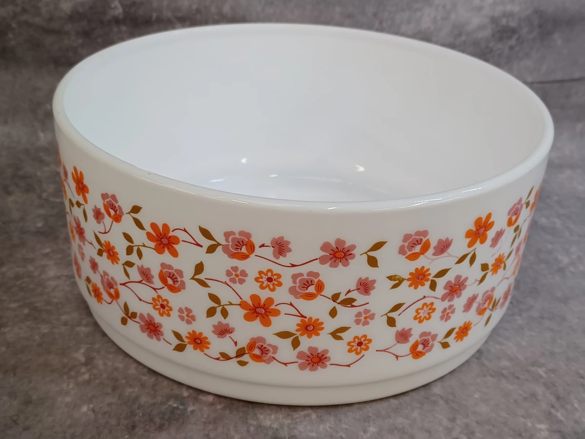 Vintage Arcopal 21-delig servies uit de jaren 70 - Scania decor - foto 5
