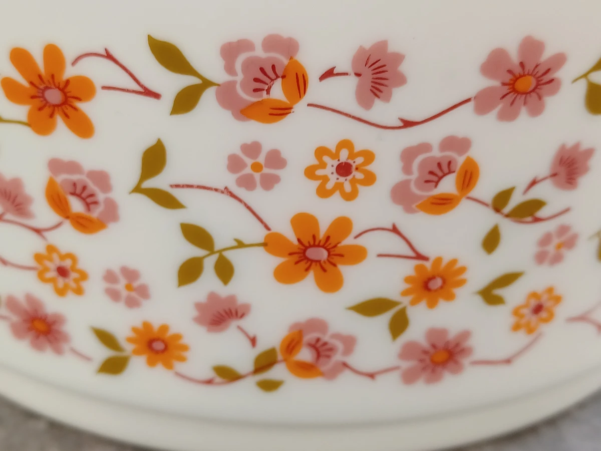 Vintage Arcopal 21-delig servies uit de jaren 70 - Scania decor - foto 7