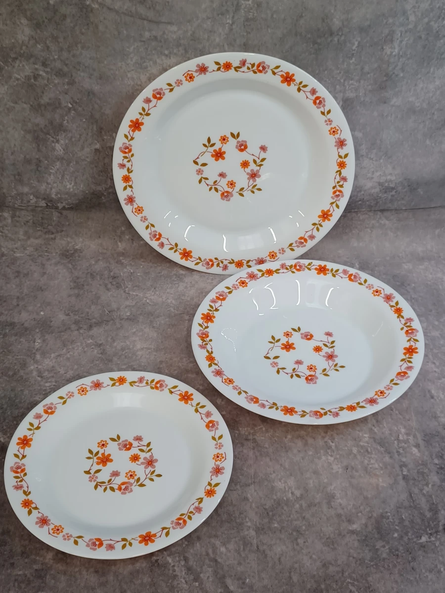 Vintage Arcopal 21-delig servies uit de jaren 70 - Scania decor - foto 2