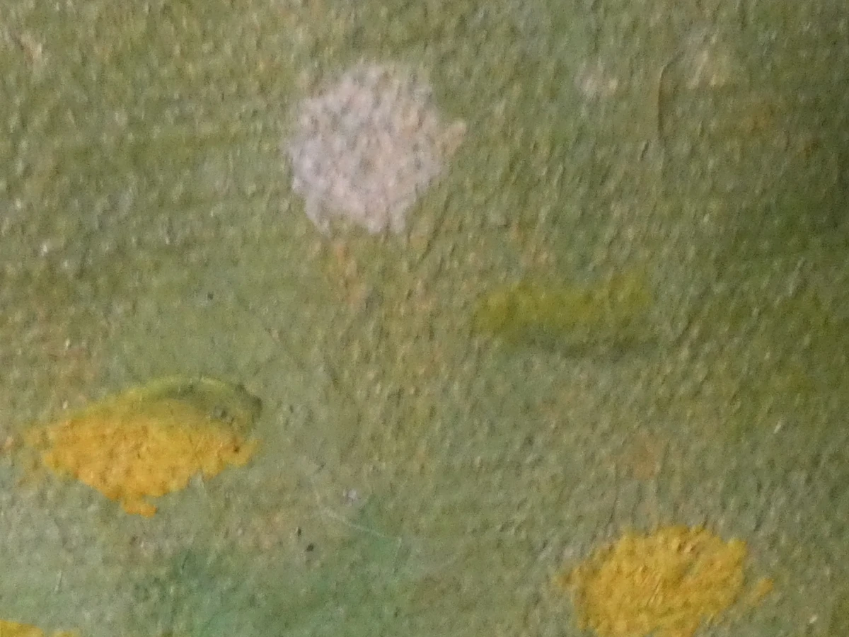Olieverfschilderij op doek - C. Armbrust, 1919 - foto 10