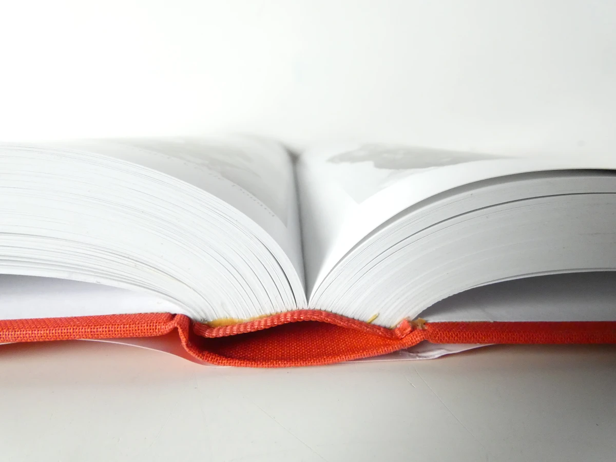 7 boeken: La Sculpture en Belgique - foto 5