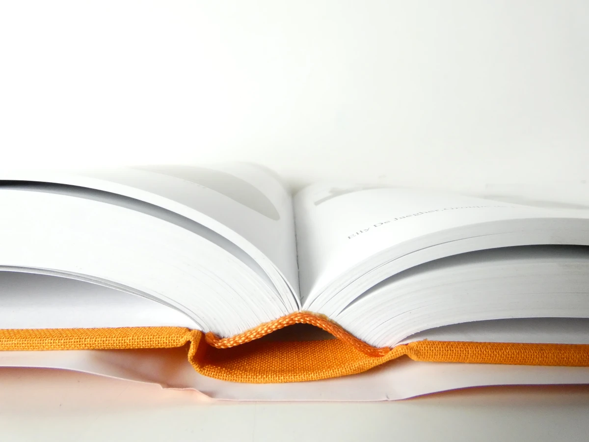 7 boeken: La Sculpture en Belgique - foto 8