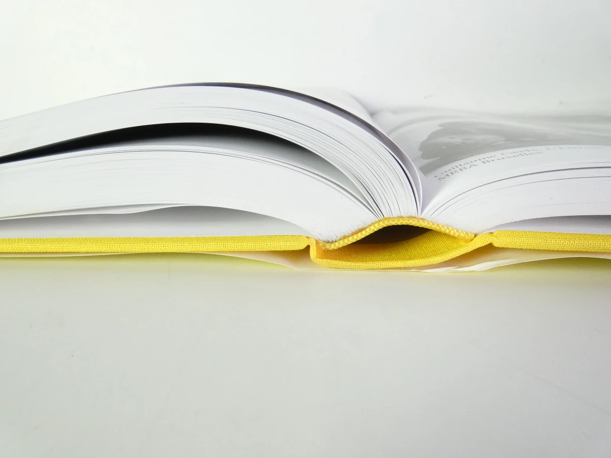 7 boeken: La Sculpture en Belgique - foto 11
