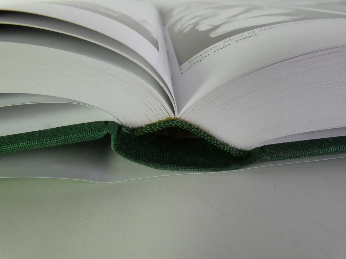 7 boeken: La Sculpture en Belgique - foto 14