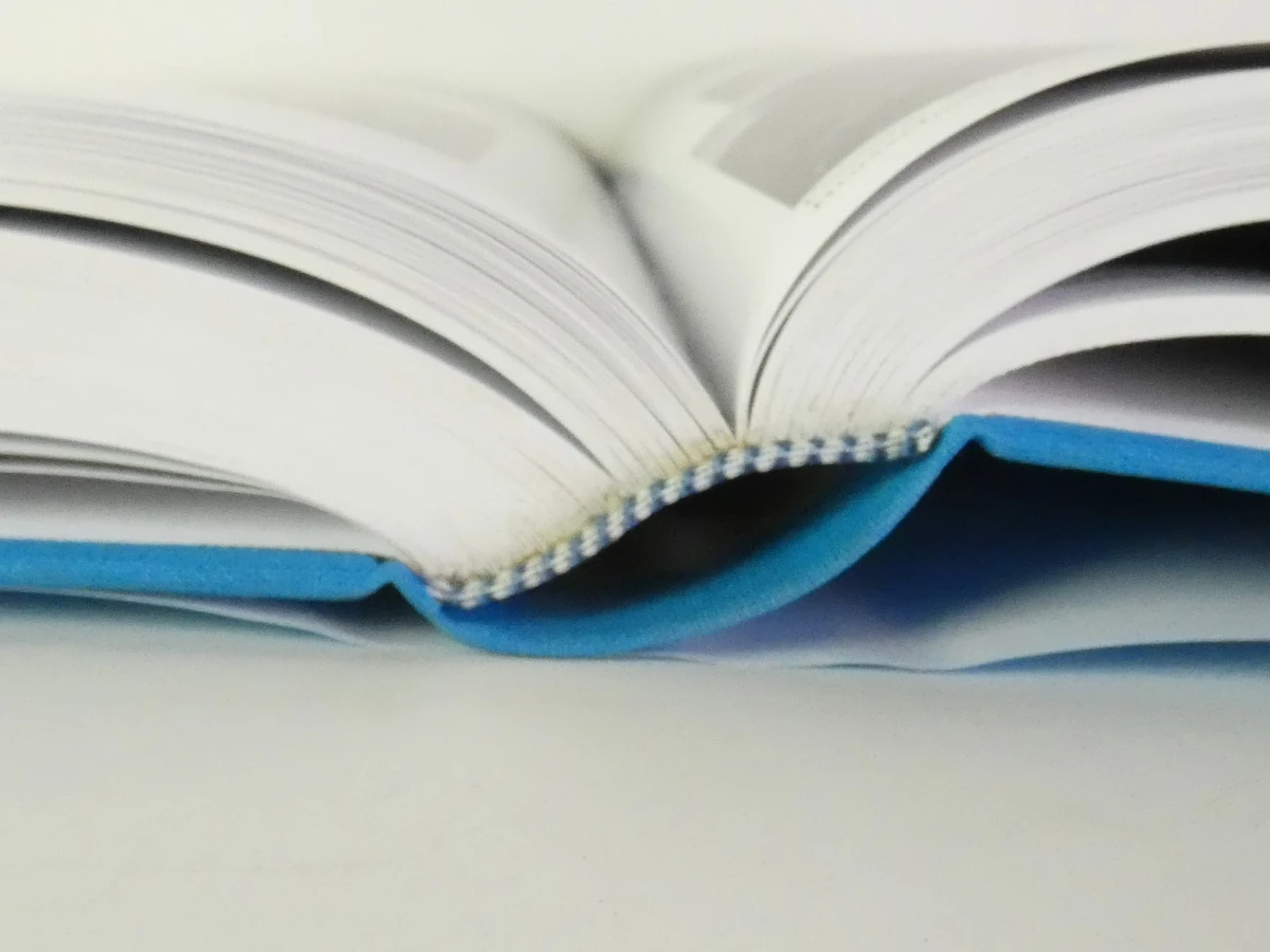 7 boeken: La Sculpture en Belgique - foto 17