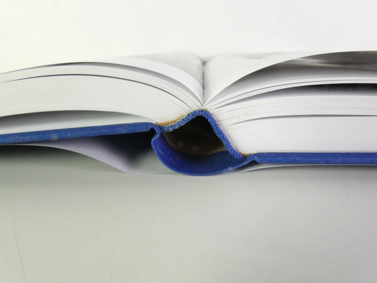 7 boeken: La Sculpture en Belgique - foto 20