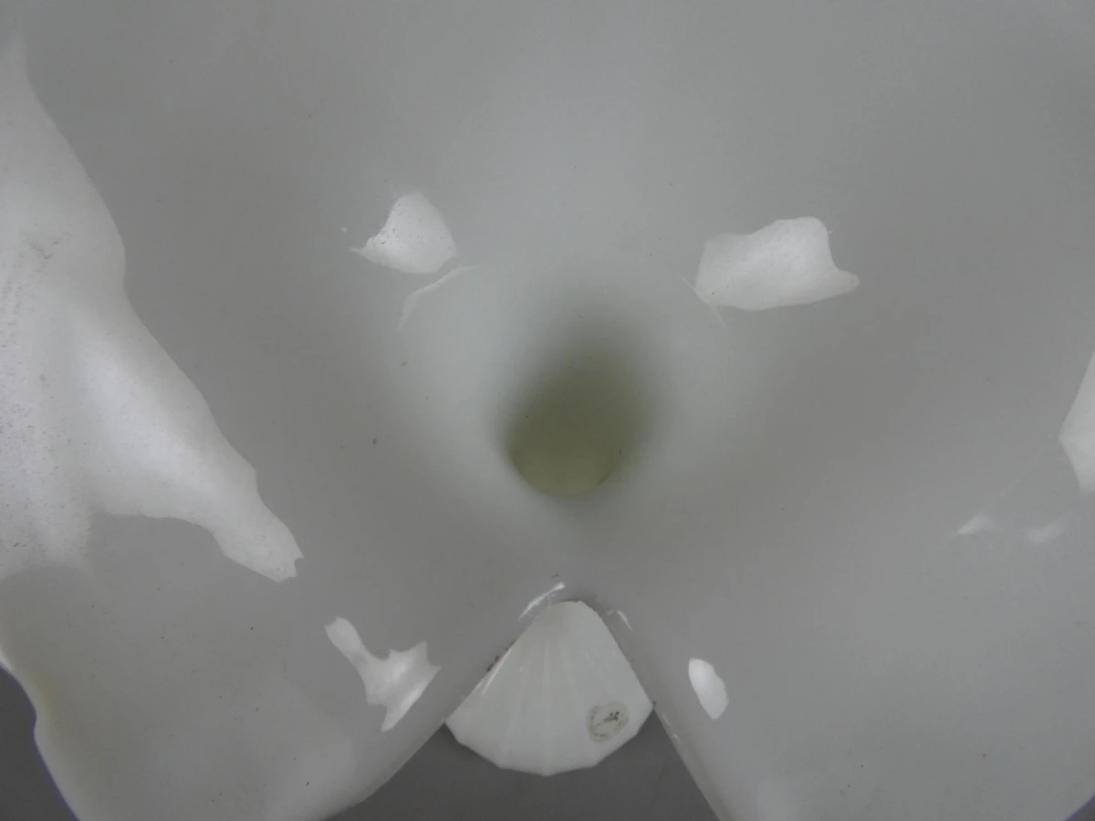 Vaas jack-in-the-pulpit - foto 4