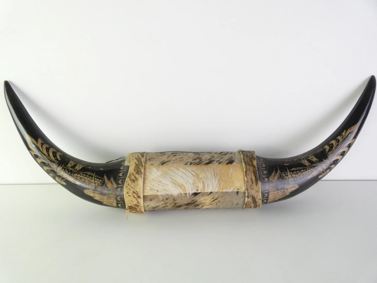 Decoratieve buffelhoorn met gravures - foto 2