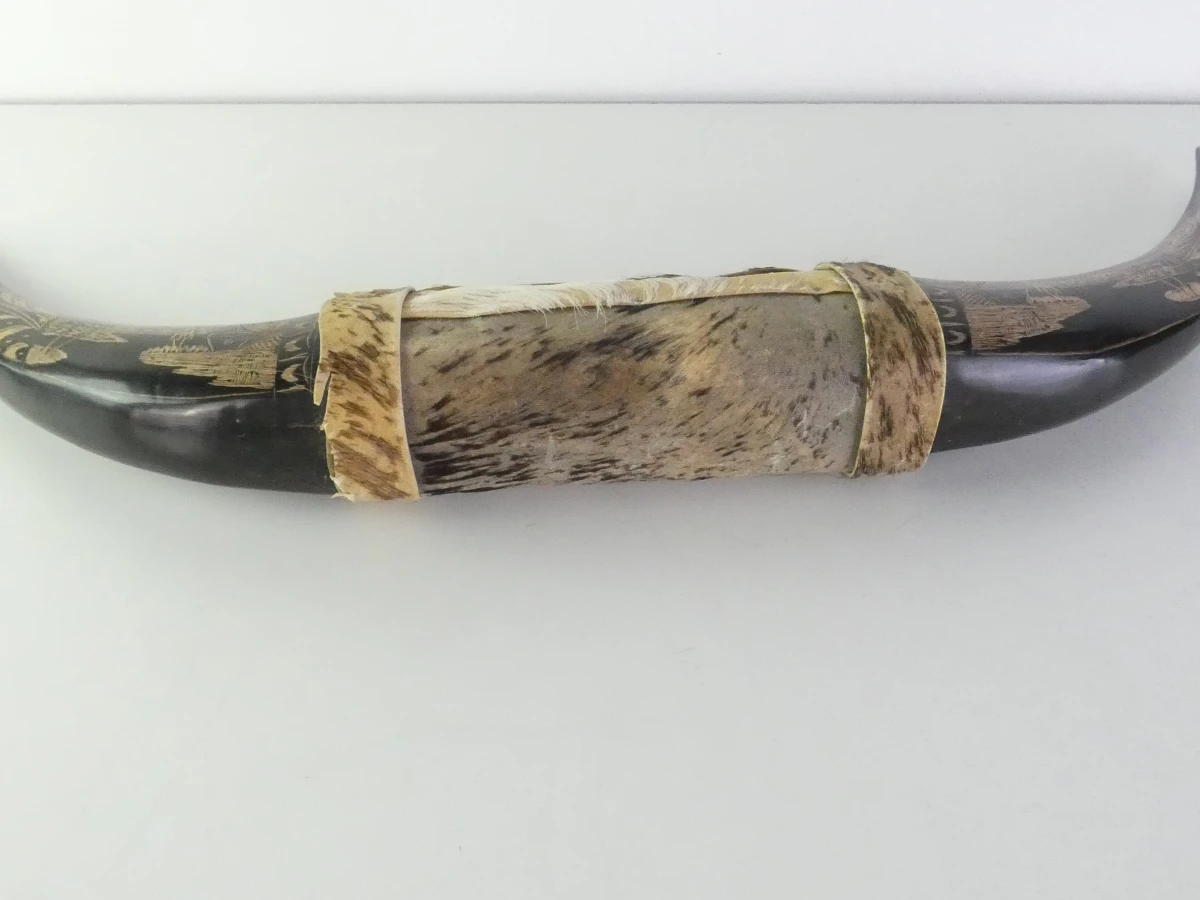 Decoratieve buffelhoorn met gravures - foto 4