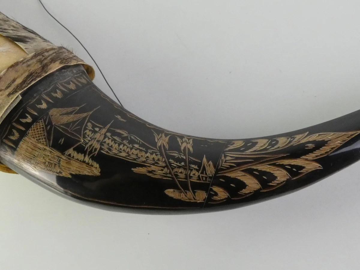 Decoratieve buffelhoorn met gravures - foto 6