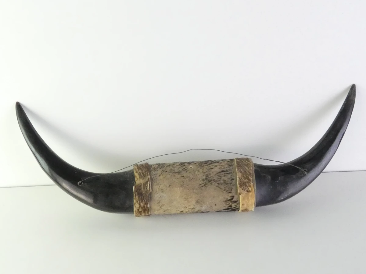 Decoratieve buffelhoorn met gravures - foto 7