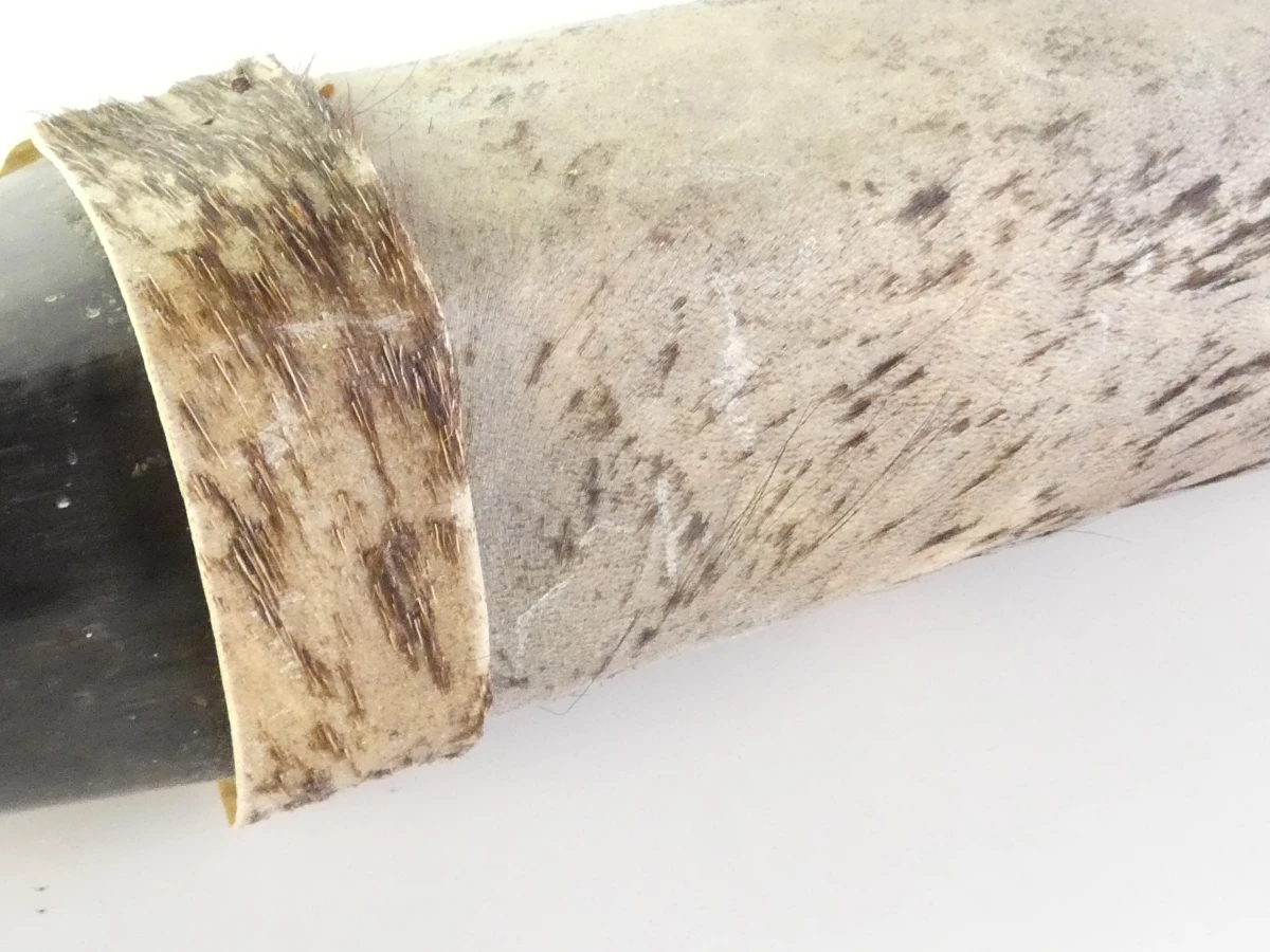 Decoratieve buffelhoorn met gravures - foto 11